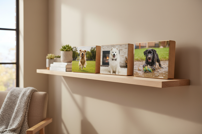 בלוקים בבית